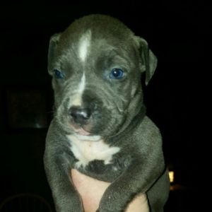 Meet your Posher, Ben